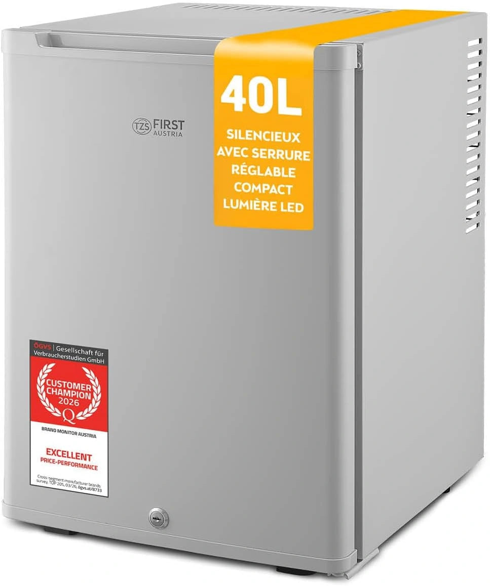 Mini R¨¦frig¨¦rateur Silencieux 40L avec Porte R¨¦versible et ¨¦clairage Int¨¦rieur - Id¨¦al pour Camping, Bureau, Chambre et H?tel - Couleur Grise de TZS First Austria