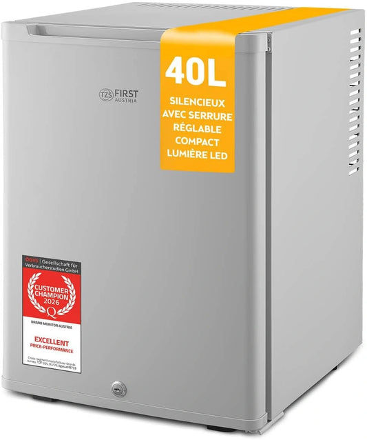 Mini R¨¦frig¨¦rateur Silencieux 40L avec Porte R¨¦versible et ¨¦clairage Int¨¦rieur - Id¨¦al pour Camping, Bureau, Chambre et H?tel - Couleur Grise de TZS First Austria